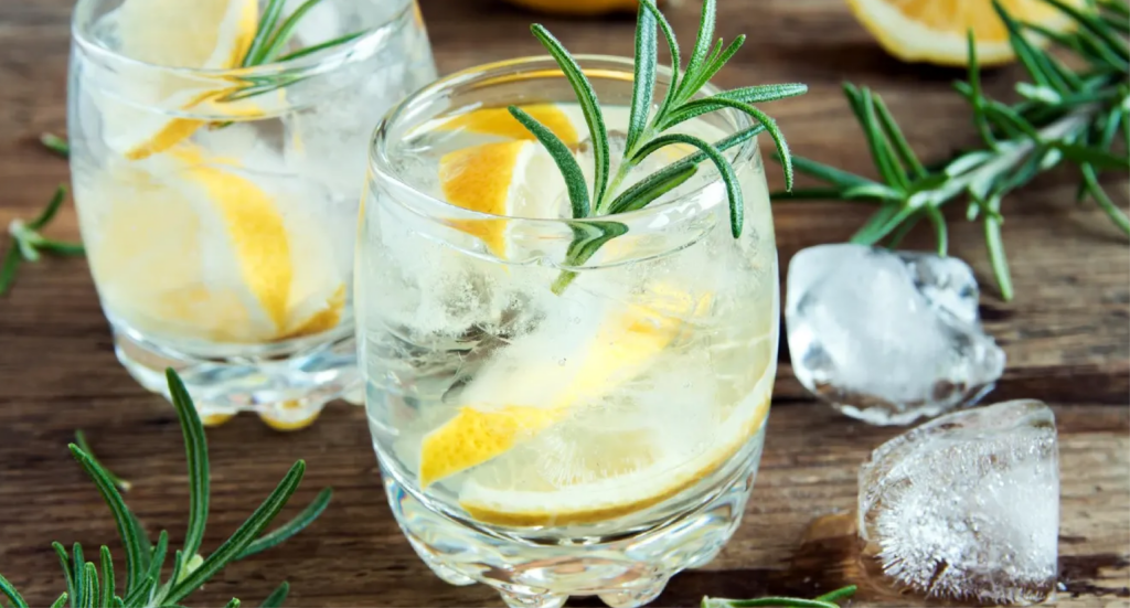Gin Tonic Cítrico